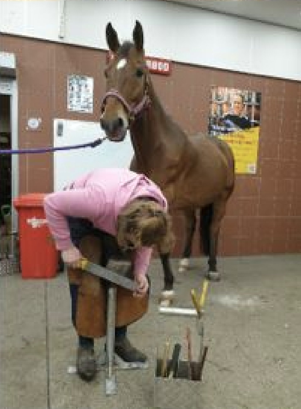 hoefverzorgingscursus